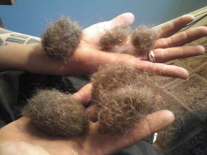 My hairy balls.